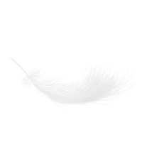 28グラム